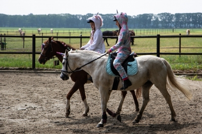 Carrousel Paardrijden Visdonk 10-06-18-6-2